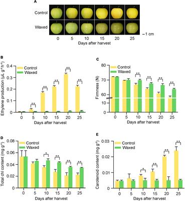 The molecular mechanism on suppression of climacteric fruit ripening with postharvest wax coating treatment via transcriptome